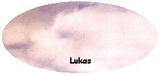 



Lukas
